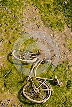 A discarded bicycle with a wicker basket to the canal, a typical example of environmental pollution in the city