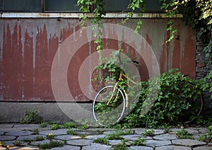 A discarded bike