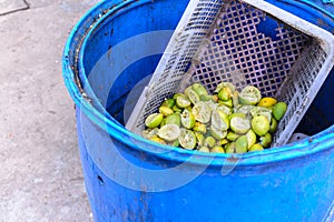 Discarded lemon peel in blue trashcan