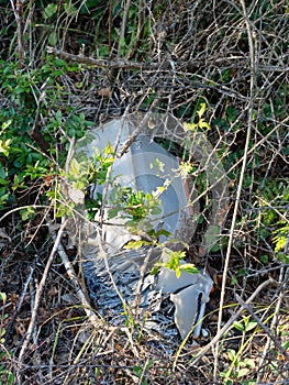 Discarded old car battery falling apart in hedge. Enviromental p