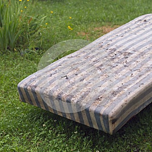 Discarded Old Mattress