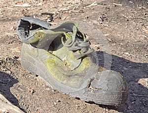 Discarded old torn shoes