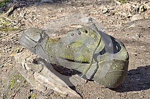 Discarded old torn shoes