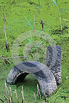 Discarded old tyres in contaminated pond puddle, water pollution