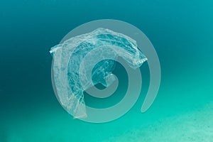 Discarded Plastic Bag Drifting in Tropical Pacific Ocean