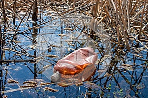 Discarded plastic bottle in river