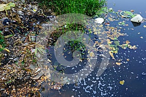 Discarded plastic debris polluting a waterway