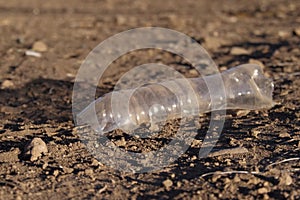 Discarded plastic water bottle, big part of waste or pollution problem