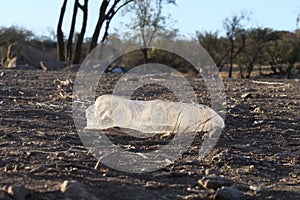 Discarded plastic water bottle, big part of waste or pollution problem