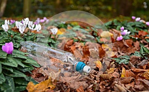 Discarded plastic water bottle lies in flowers and leaves