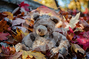 discarded plush bear on a pile of autumn leaves