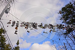 Discarded shoes