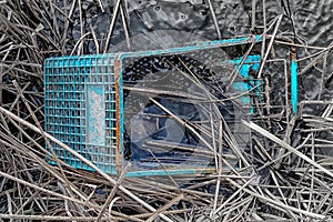 Discarded Shopping Cart in Swamp