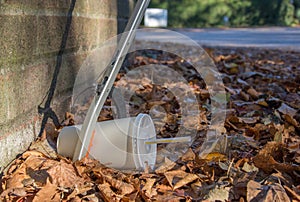 Discarded soda cup with straw in fallen leaves at the base of a wall