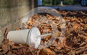 Discarded soda cup with straw lies in fallen leaves at the base of a wall