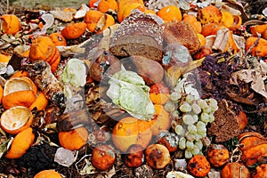 Discarded and spoiled food in a trash pile. Compostable organic waste