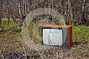 Discarded television set in the forest