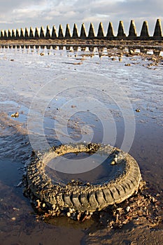 Discarded Tyre On Beach photo