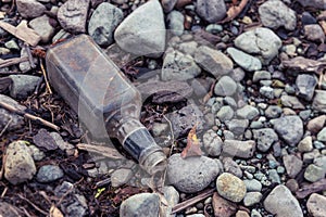 Discarded Whisky Bottle on a beach