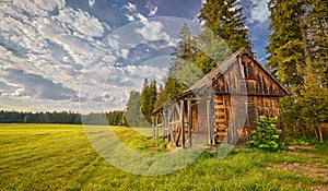 Discarded wooden cabin