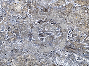Discolored metal background photo