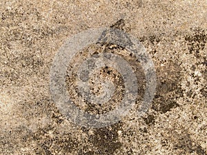 Discoloured Concrete photo