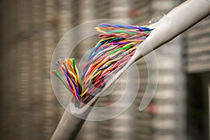 Disconnect is close up. Damaged insulating material of a stranded telephone wire. Gap color telecommunication cable. Concept of
