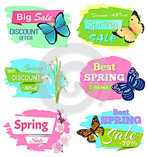 Discount Offer Super Choice Big Spring Sale Prices
