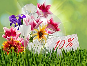 Discount for sale, 10 percent discount, beautiful flowers tulips in the grass close-up