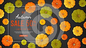 Discount, sale in autumn. Horizontal banner flyer with yellow, green, orange pumpkins, leaves on a black background Special season