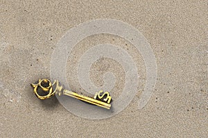 Discover gold treasure key in dollar shape inside dirty sand nob