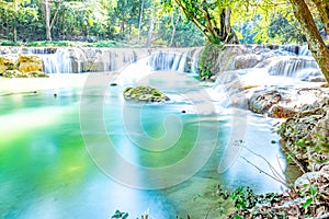 Discover the Serene Tropical Forest of Saraburi, Thailand