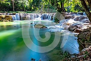 Discover the Serene Tropical Forest of Saraburi, Thailand