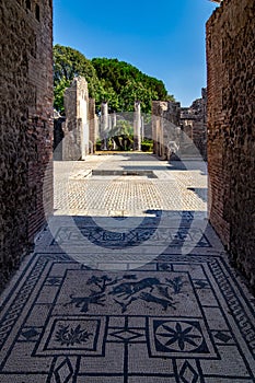 Mosaic floor in home interior of Pompeia photo