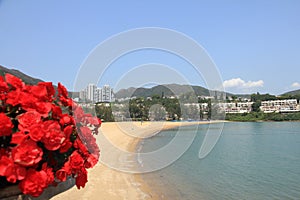 Discovery Bay â€“ a neighborhood favored by expats in Hong Kong