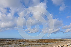 Discovery of the coasts of Brittany, Talbert furrow