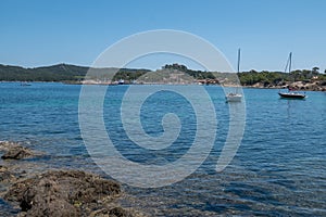 Discovery of the island of Porquerolles in summer. Deserted beaches and pine trees in this landscape of the French Riviera