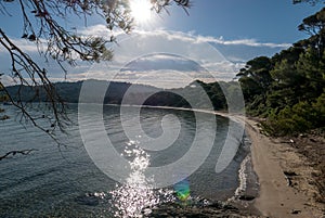 Discovery of the island of Porquerolles in summer. Deserted beaches and pine trees in this landscape of the French Riviera