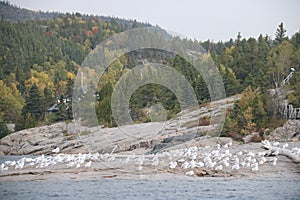 Discovery of Quebec landscapes in autumn