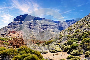 Landscape of the famous elTeide parc in Tenerife photo