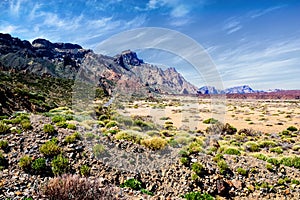 Landscape of the famous elTeide parc in Tenerife photo