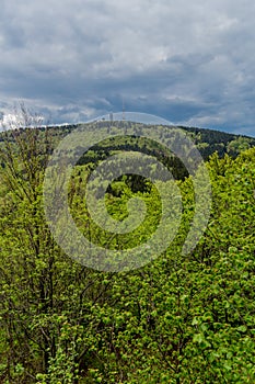 Discovery tour at the edge of the Thuringian Forest - Thuringia/Germany