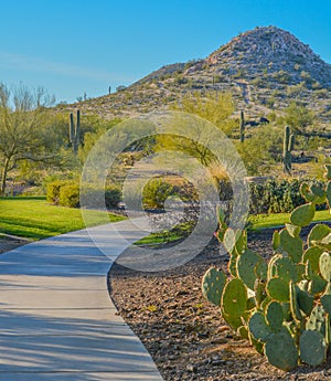 Discovery Trail in the Sonora Desert. Peoria, Maricopa County, Arizona USA