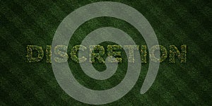 DISCRETION - fresh Grass letters with flowers and dandelions - 3D rendered royalty free stock image