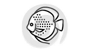 discus fish line icon animation
