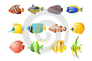 Pack aquarium tropical fish