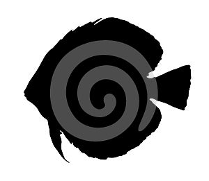 Discus silhouette of a fish in a hand-drawn sketch style on a white background. Vector of the graphic element. Vector drawing of