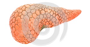 Disease spread on pancreas, 3d animation. 3D rendering isolated on white background