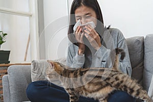 Diseases from pets concept. Woman sneezing from fur allergy on the sofa and playing with her cat