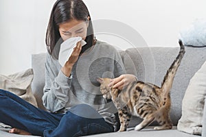 Diseases from pets concept. Woman sneezing from fur allergy on the sofa and playing with her cat